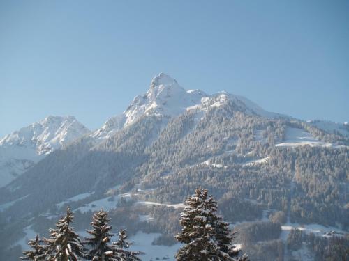 Apartamento Haus Gr�ner Wald