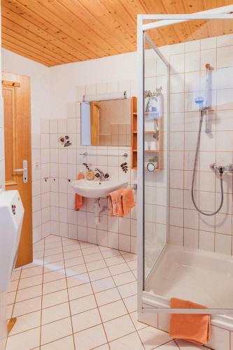 Apartamento Haus Netzer