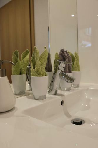 Apartamento Ferienwohnung D�rflihof