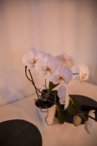 Apartman Nina