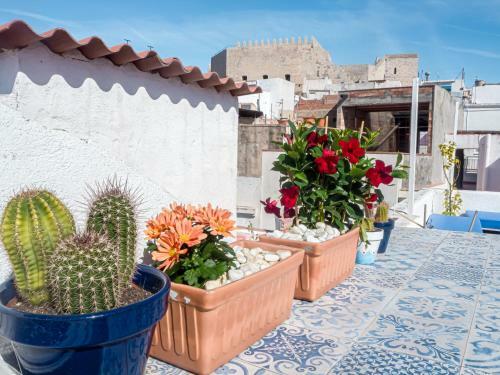 Apartamento Camar�a Castillo 2�