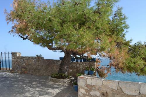 Apartamento Urbanizaci�n Pe�ismar 1 Playaestudio