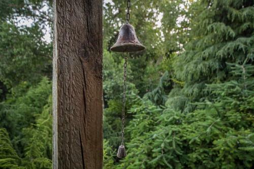 L'amour Nest