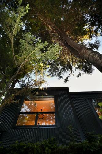 L'amour Nest