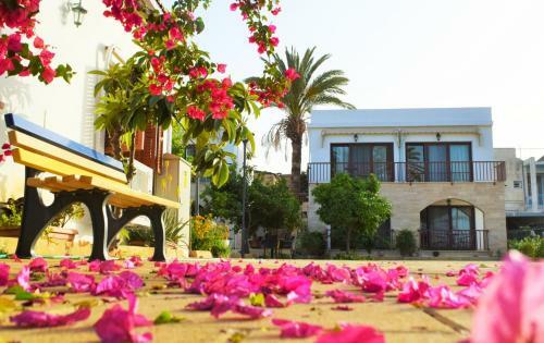 Hostal Golden Palms Guest House & Cafe