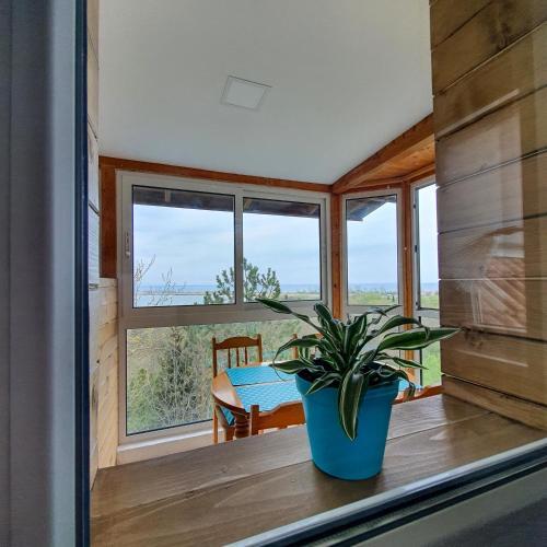 Apartamento ?????? ? ?????????? ?????? ???????? "sea Beauty"