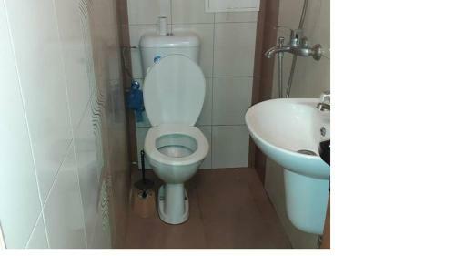 Apartament Trifon