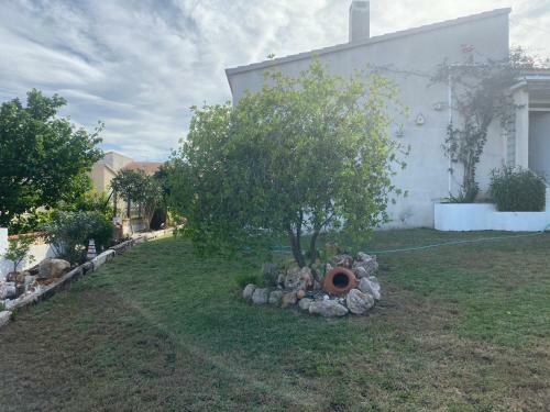 Nova Pe�iscola Fincas Van Camp