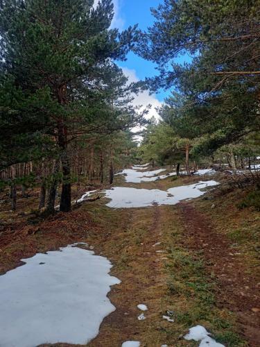 Apartamento Montes De Lillo