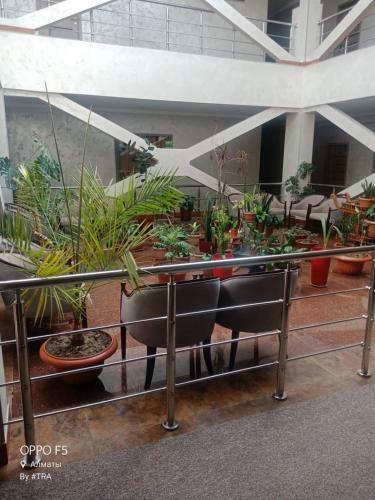 Renion Hotel