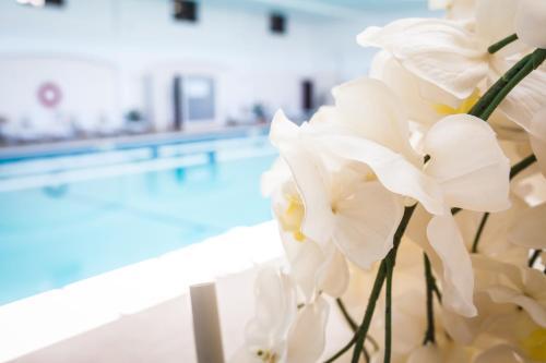 Aparthotel Europa Residence