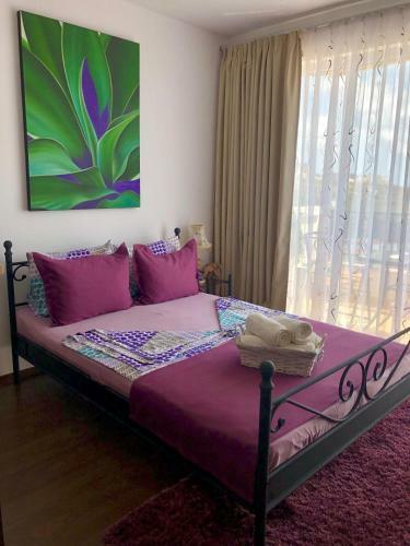 Apartamento ?-?? "???????" , ?????? ??? ????