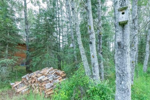 Caribou Cabin @ Aspen Hollow