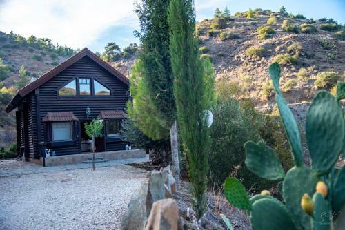 *2 Bdr Log House /mountains/queen Bed/fireplace