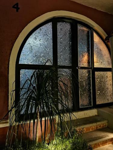 Apartamento Lake Chapala Main Plaza