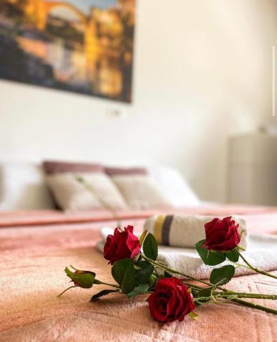 Apartamento Student City 307