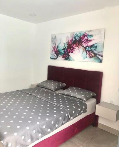 Luxury Villa Leina