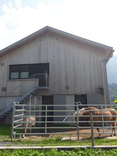 Apartamento Appartment Hirschberg