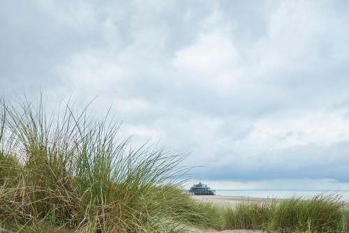 Apartamento Noordzeebries