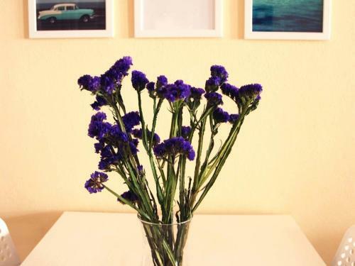 Apartamento El Veril