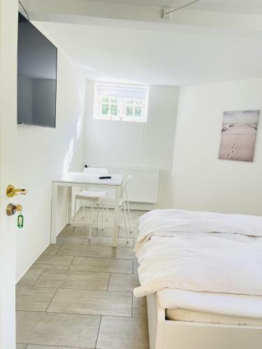 Hostal Aday - City Central Mansion - Privat Room