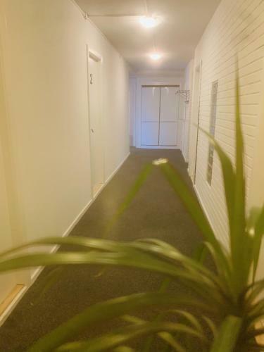 Hostal Aday - S�ndervangsvej - Room 4