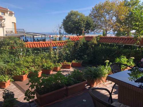 Hostal Breeze Guest House