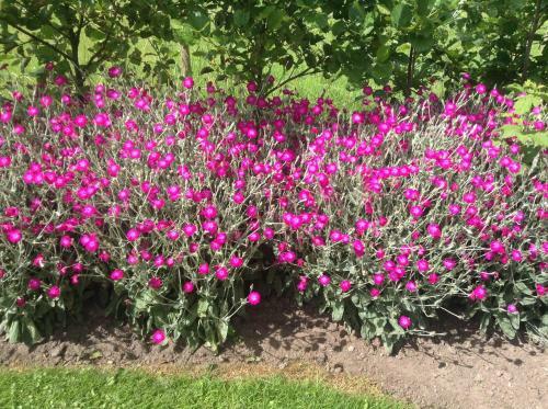 B&B 't Landschap