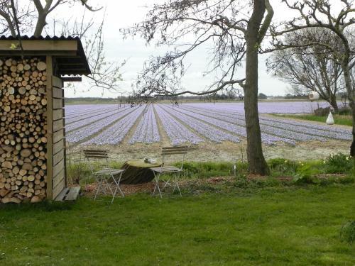 Appels En Peren Bed And Breakfast