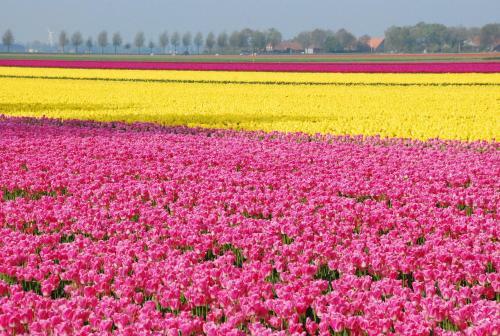 Bed & Breakfast Het Vijfde Seizoen