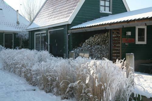 Skaap Amsterdam Waterland