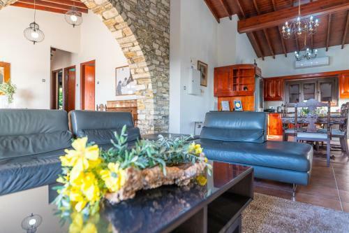 Lefkara Villa