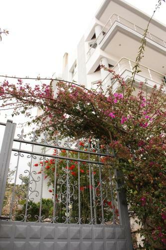Alexandra�s Apartments