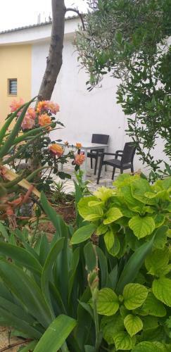 Vjollca`s Home