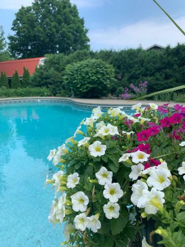 Bed & Breakfast Manoir Alegria