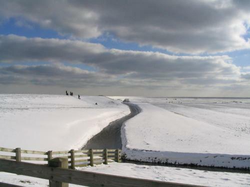 Bed & Breakfast De Stormvogel