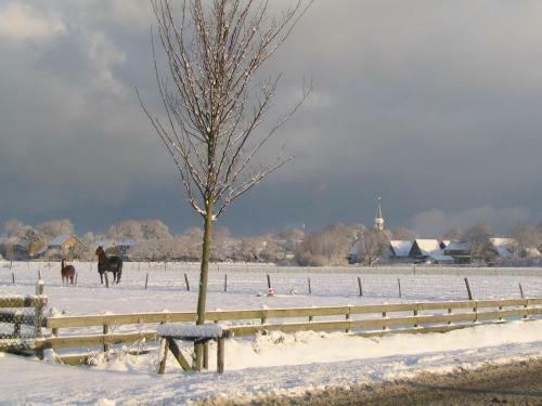 Bed & Breakfast De Stormvogel