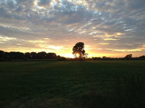Bed & Breakfast Herberg Het Hart Van Alem