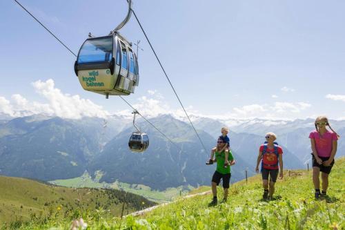 Apartment Gidi Und Lisl, Bramberg Am Wildkogel