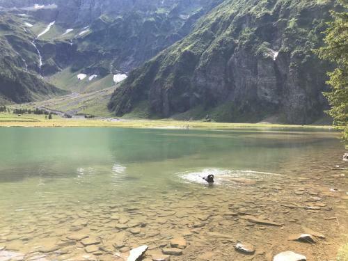Apartamento Ferienwohnung Wildkogelblick