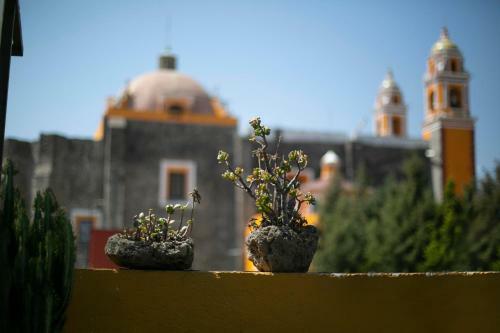 Apartamento Majikal B&B - Guatemaya