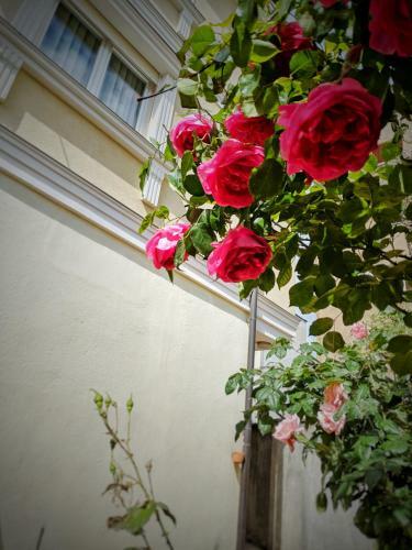All Seasons Apartments