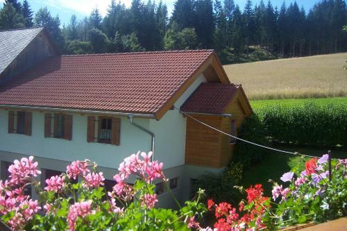 Apartamento Appartement Steiner
