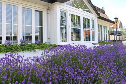Hotel Herbergh Amsterdam Airport