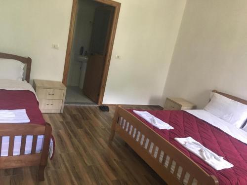 Hostal Bujtina Zi�i