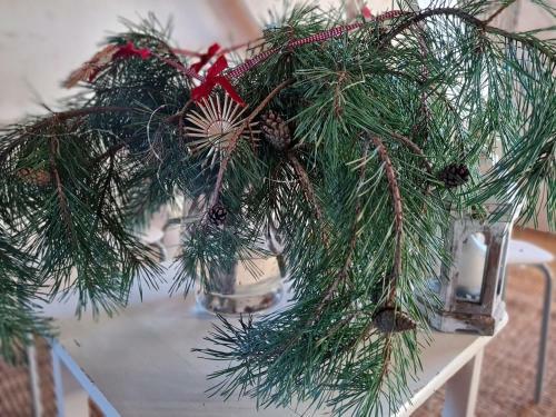 B&B Bauernhofferien Auf M�n