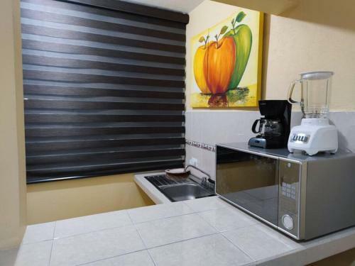 Apartamento Tranquilo Departamento Inteligente Control Por Voz