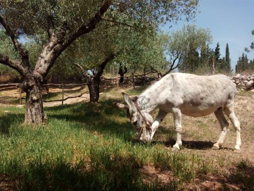 Agroturismo Les Olles
