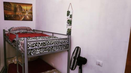 Tufina Hostel