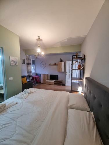 Tirana City Centre Folk Hotel